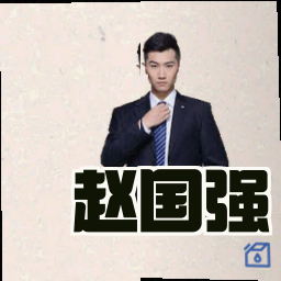 赵国强